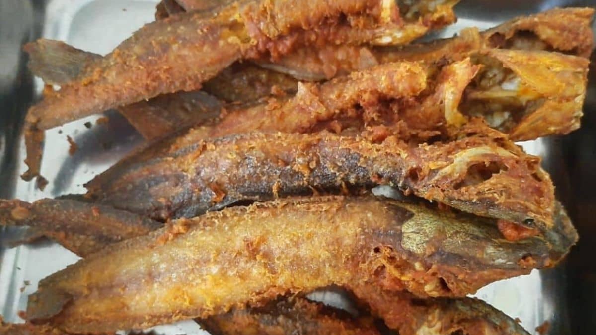 Ikan Keli Goreng Super Garing Ala-ala Restoran, Kruk Krap Bila Gigit