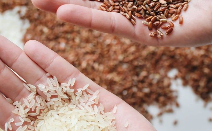 Tip Pilih Beras Dan 4 Langkah Cara Masak Nasi Rendah Kanji