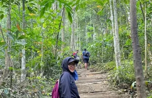 Bukit Gasing : 5 Sebab Jadi Lokasi Hiking Best Untuk Beginner